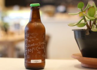 Zdravé nápoje, které si zvládneme připravit doma: Kombucha a tibi krystaly