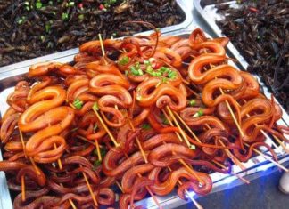 Extrem food festival 2019: Vytvoříme český rekord v počtu lidí pojídajících hmyz na jednom místě