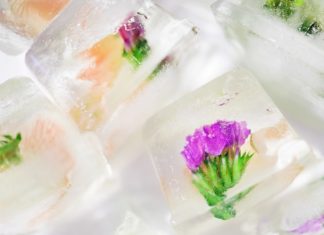 Sklenice plná osvěžení: vytvořte si ledové kostky do limonády, smoothie nebo kávy