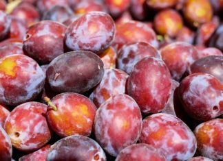 Zatočte s úrodou – zkuste švestkový džem s čokoládou či marabelkový džem