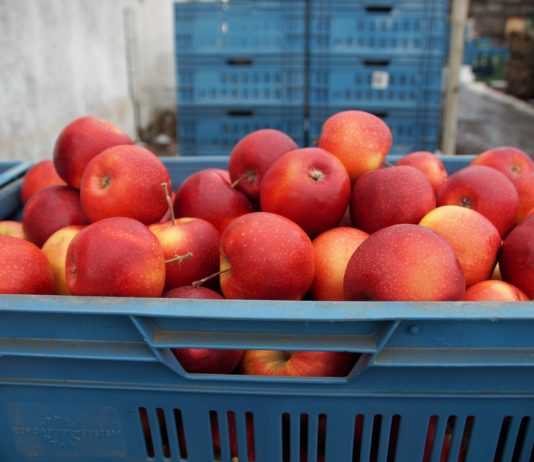 Čerpejte vitaminy z vlastních zásob i v zimě