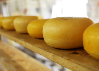 Státní zemědělský intervenční fond na výstavě GASTRO PRODUKT