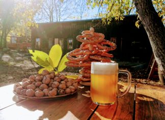České pivo se u nás vaří přes tisíc let. Dnes zažívá pivovarnictví renesanci. Proč?