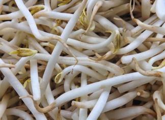 Jak si doma pomoci s posílením imunity? Doplňte vitamíny z klíčků nebo kimchi