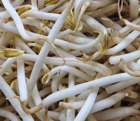 Jak si doma pomoci s posílením imunity? Doplňte vitamíny z klíčků nebo kimchi