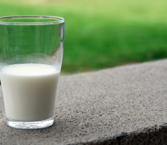 Test mléka – čerstvé, nebo raději trvanlivé?