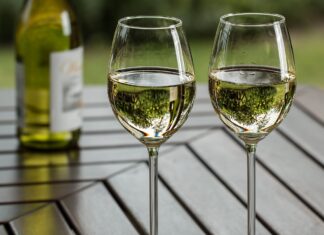 Jak porozumět vinným etiketám a řeči vinařů