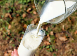 Nedostatečný příjem vitaminu D může ovlivnit imunitu – doplňte ho mlékem